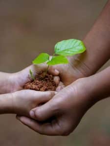 holding_plant